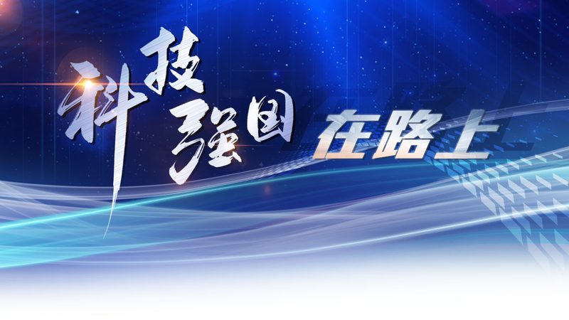 知识图谱存储定制开发
