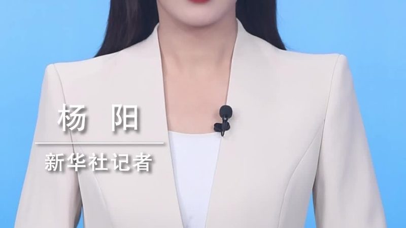 企业级数据湖应用平台：构建智能数据生态的关键**