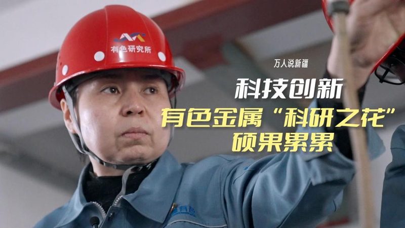评估数据服务厂家的能力，可以从以下几个方面进行：